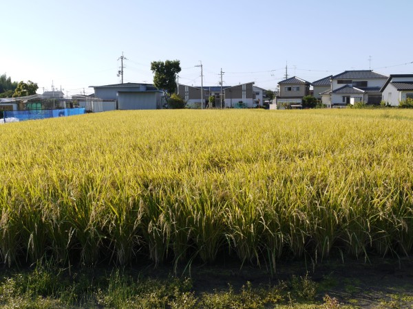 まずは、ひと段落・・・　サムネイル